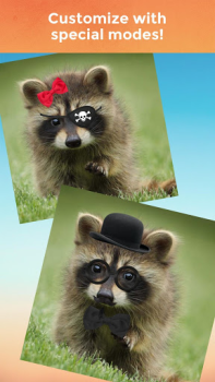 Download My Talking Pet Entertainment for Android screenshot 4