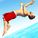 Download  Flip Diving