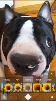 Download Cameringo Lite. Filters Camera Photo for Android screenshot 7