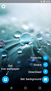 Download Dandelion Live Wallpaper Personalization for Android screenshot 6