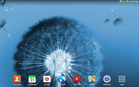 Download Dandelion Live Wallpaper Personalization for Android screenshot 7