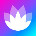 Download  HONOR Club