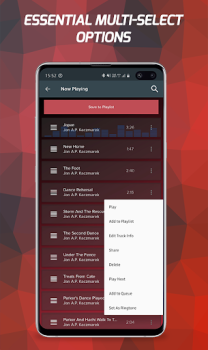 Download Pi Music Player: Offline Music Music and audio for Android screenshot 6