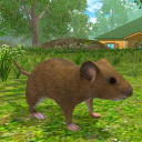 Download  Mouse Simulator :  Forest Home