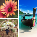 Download  Photo Collage Editor