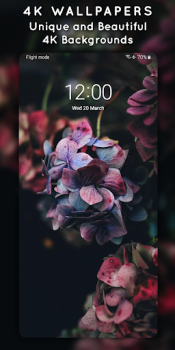 Download 4K Wallpapers - Auto Changer Personalization for Android screenshot 4