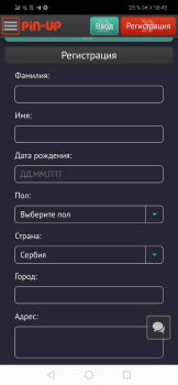 Download Pin-up Entertainment for Android screenshot 2