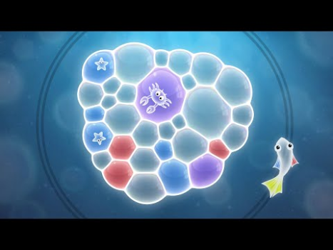 Tiny Bubbles