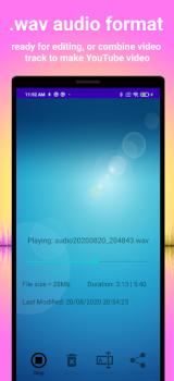 Download Earbuds Voice Recorder Music and audio for Android screenshot 3