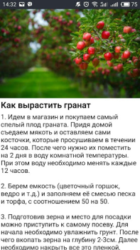 Download Дача и огород Хитрости Советы Books and Reference for Android screenshot 3
