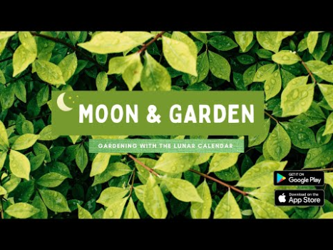 Download Moon & Garden Life style for Android screenshot 8