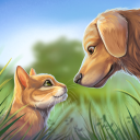 Download  Pet World: My Animal Shelter