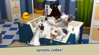 Dog Hotel – Play with dogs