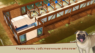 Dog Hotel – Play with dogs
