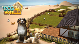 Dog Hotel – Play with dogs