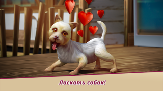 Dog Hotel – Play with dogs