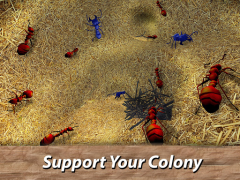 Download Ants Survival Simulator - go t Simulators for Android screenshot 6