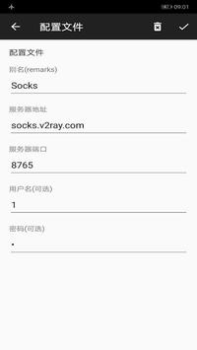 Download v2rayNG Contact for Android screenshot 4