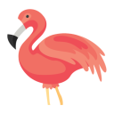 Download  Flamingo Animator
