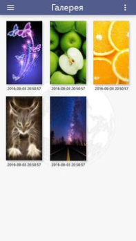 Download Globus: extra income Social for Android screenshot 6