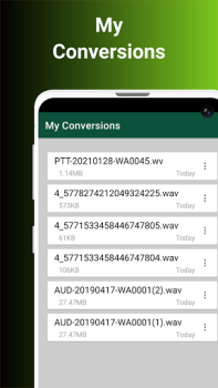 Audio Converter To Any Format