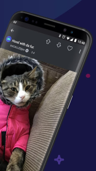 Download Imgur: Funny Memes & GIF Maker Photo for Android screenshot 2