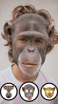 Download Animal Face Camera Entertainment for Android screenshot 4