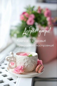 Download Доброе утро Добрый вечер Entertainment for Android screenshot 2