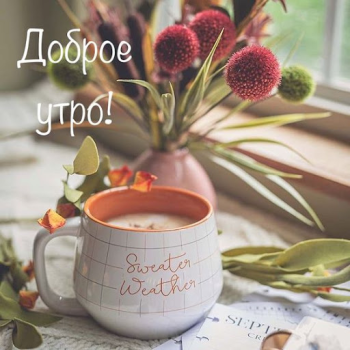 Download Доброе утро Добрый вечер Entertainment for Android screenshot 3