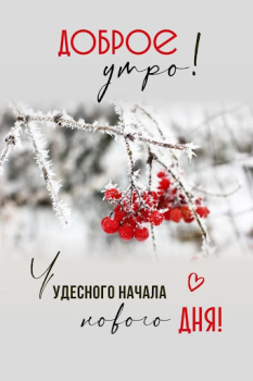 Download Доброе утро Добрый вечер Entertainment for Android screenshot 7