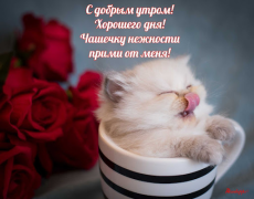 Download Прикольные с добрым утром Entertainment for Android screenshot 2