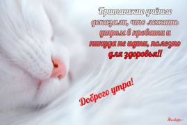 Download Прикольные с добрым утром Entertainment for Android screenshot 5