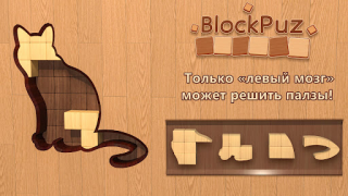 Download BlockPuz: Block Puzzle Games Puzzles for Android screenshot 6