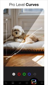 Download AI Photo Editor - Lumii Photo for Android screenshot 6